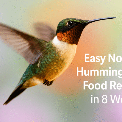 Easy No Boil Hummingbird Food Recipe in 5 Minutes